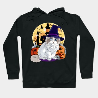 Ragdoll Cat Funny Halloween Witch Pumpkin Hoodie